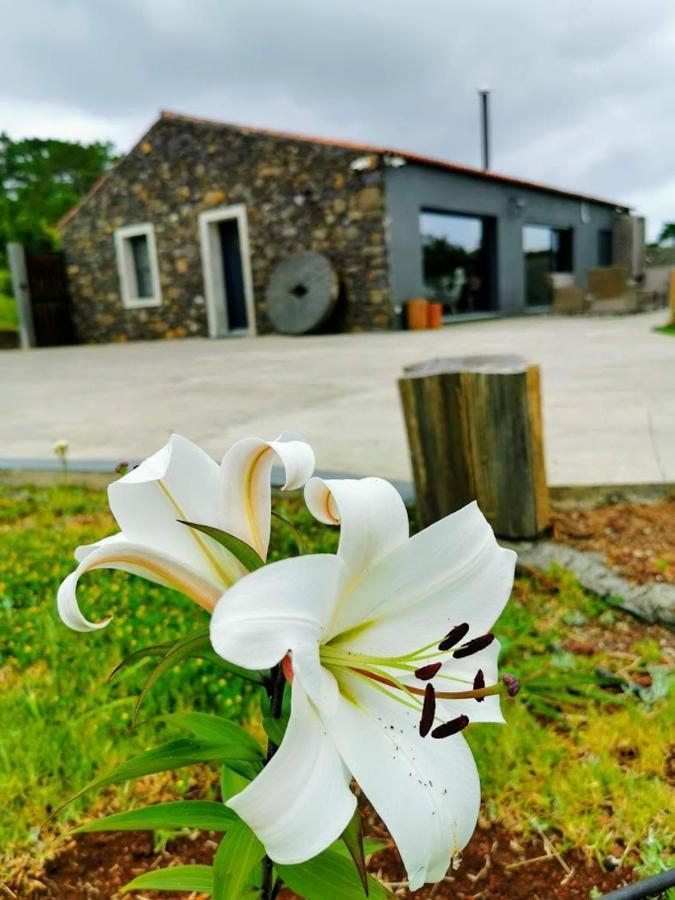 Villa Quinta de São José à Sao Pedro  Extérieur photo