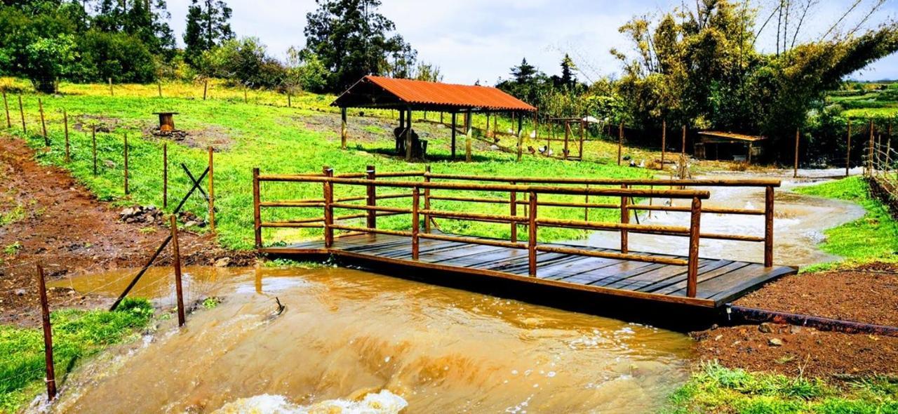 Villa Quinta de São José à Sao Pedro  Extérieur photo